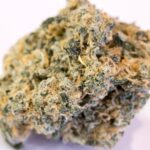 Store – gallery image 5