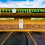 Life Flower – gallery image 1