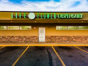 Life Flower — Glendale, CO