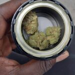 Flyhi Cannabis Dispensary – 16th St Mall – gallery image 4