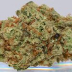 Three Rivers Dispensary Denver – gallery image 4