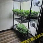 Store – gallery image 4