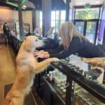 Store – gallery image 2