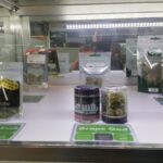 Store – gallery image 2