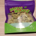 Store – gallery image 5