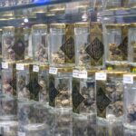 Store – gallery image 5