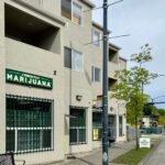 A Greener Today Marijuana – South Seattle – gallery image 1