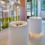 Juva Cannabis Dispensary – gallery image 3