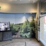 Store – gallery image 5