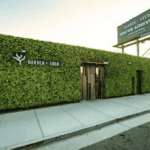 Garden of Eden – Hayward – gallery image 4