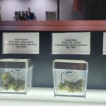 Store – gallery image 4