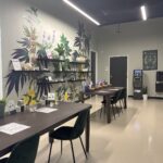 Store – gallery image 2