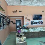 Store – gallery image 2