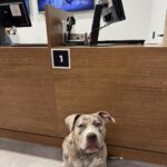 Store – gallery image 5