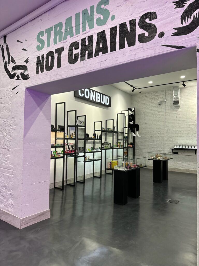 Store – main photo