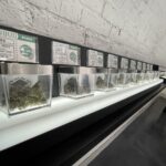 Store – gallery image 2