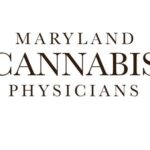 Store – gallery image 3