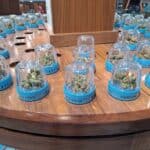 Store – gallery image 4