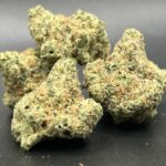 Store – gallery image 3