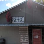 Store – gallery image 5