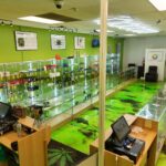 Store – gallery image 2