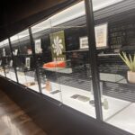 Dark Matter Cannabis Dispensary – Sunland Park – gallery image 3