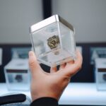 Old Gods Dispensary – gallery image 4