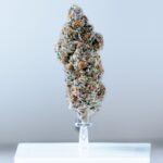 Old Gods Dispensary – gallery image 5