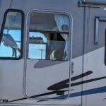 Ultra Health Dispensary Sunland Park – gallery image 2