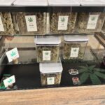 Rocky Mountain Cannabis – Anthony Dispensary – gallery image 4