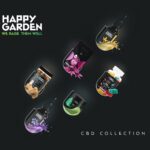 Store – gallery image 2