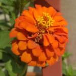 Store – gallery image 1