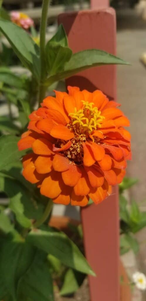 Store – main photo