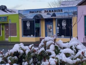 Pacific Paradise — Arcata, CA