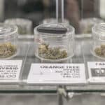 Store – gallery image 4