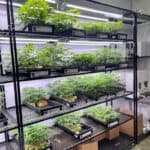 Store – gallery image 4