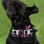 Store – gallery image 3