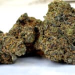 Store – gallery image 2