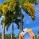 Store – gallery image 3