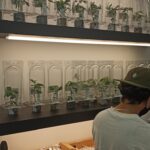 Store – gallery image 2