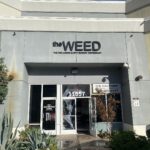 Store – gallery image 1