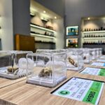 Store – gallery image 5