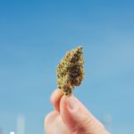 Store – gallery image 4