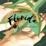 Store – gallery image 3