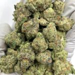 Store – gallery image 5