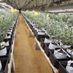 Store – gallery image 2