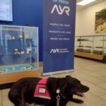 Store – gallery image 2