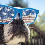 Store – gallery image 5