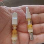 Store – gallery image 5