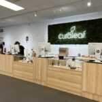 Curaleaf Dispensary Jacksonville – gallery image 3
